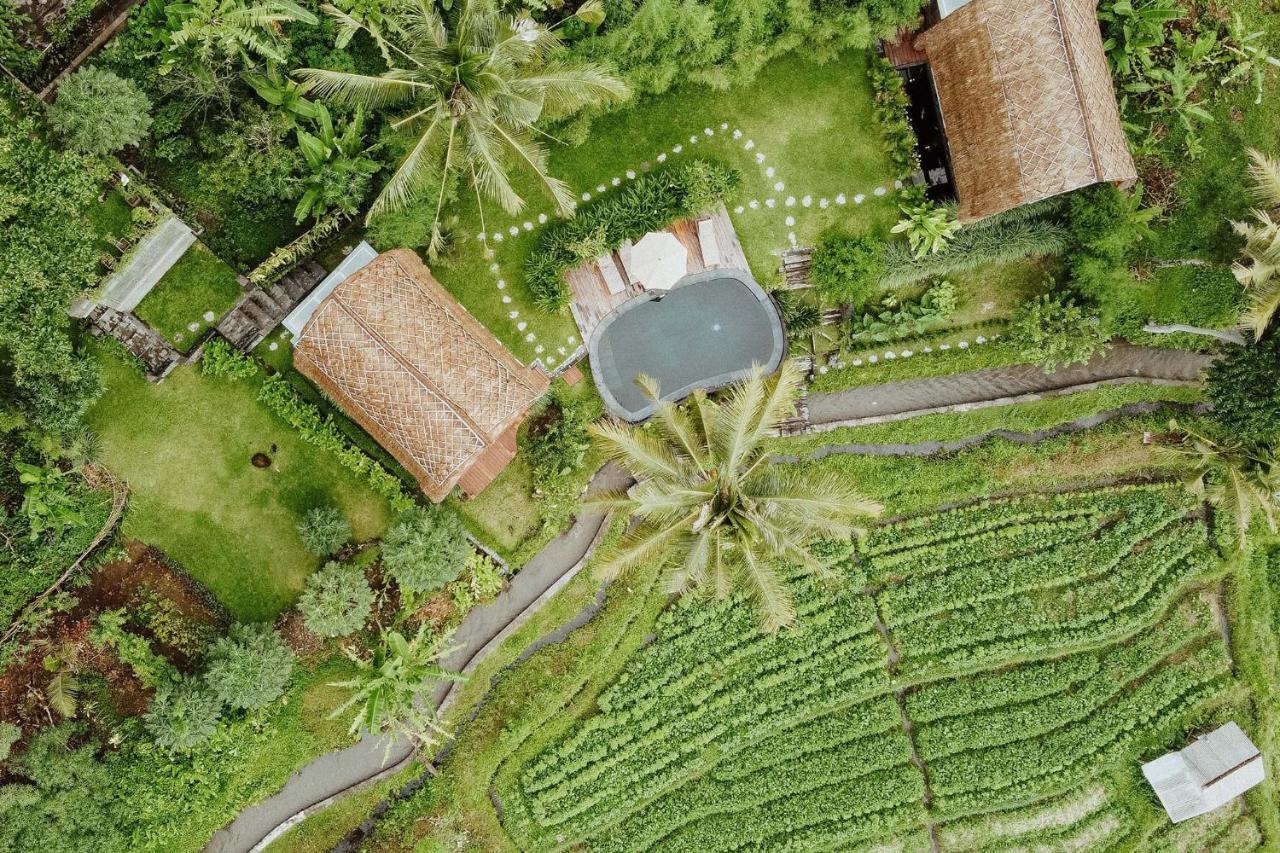 Like Living In A Romantic Balinese Painting Holiday home Sidemen (Bali)